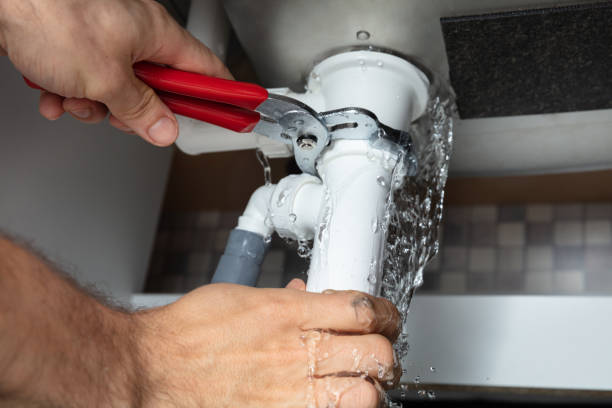 Best Water damage mitigation services  in Freeland, MI