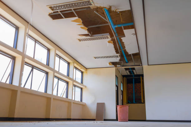 Best Flood damage cleanup  in Freeland, MI