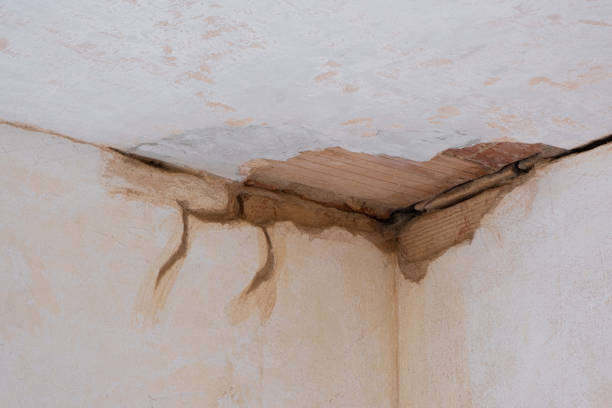 Best Emergency water damage restoration  in Freeland, MI