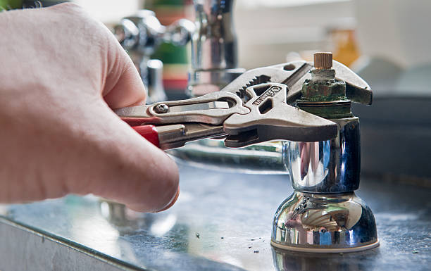 Best 24/7 water damage repair  in Freeland, MI