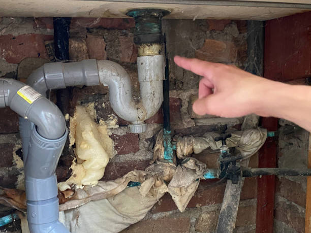 Best Carpet water damage restoration  in Freeland, MI